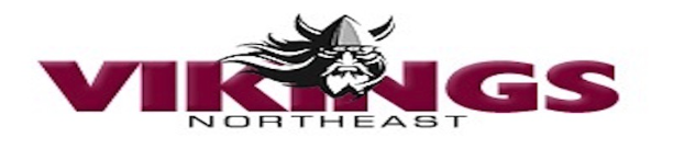 NE Vikings Logo NE Vikings Logo